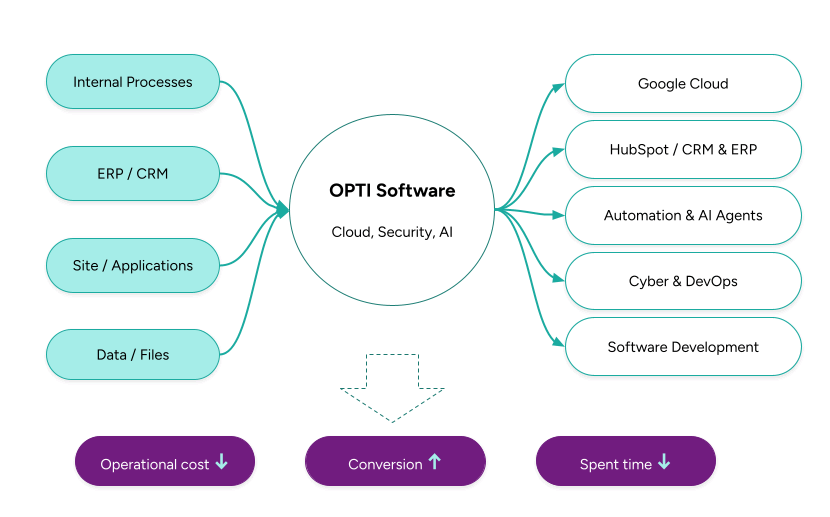 OPTI Software Diagram - Input to Benefits