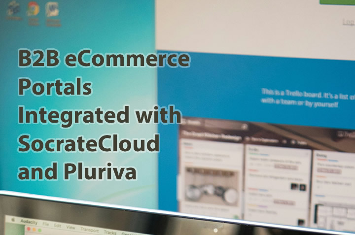 Portaluri e-commerce B2B integrate cu SocrateCloud și Pluriva