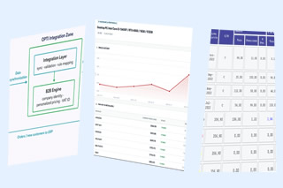 3 studii de caz de integrare software: ERP&ndash;eCommerce, Price Intelligence și software financiar