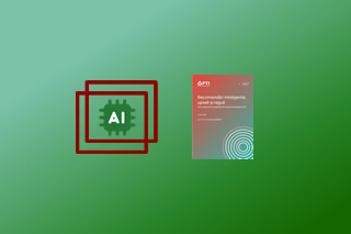 De la Silicon Valley la economia reală din Rom&acirc;nia. Ce este arhitectura hibridă AI? 